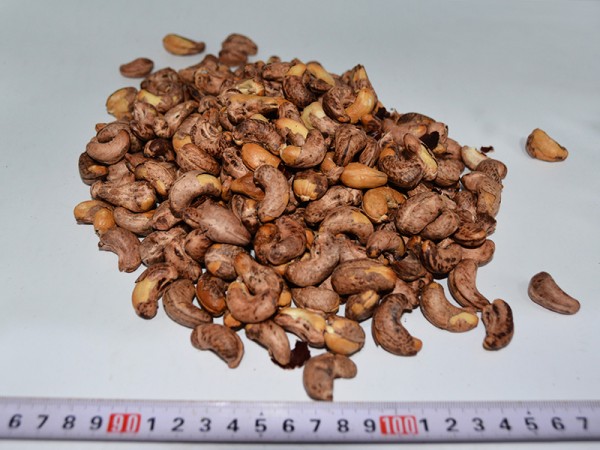 Purple Cashew Nuts 240