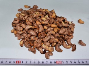 Purple Cashew Nuts, Purple Cashew Nuts 240