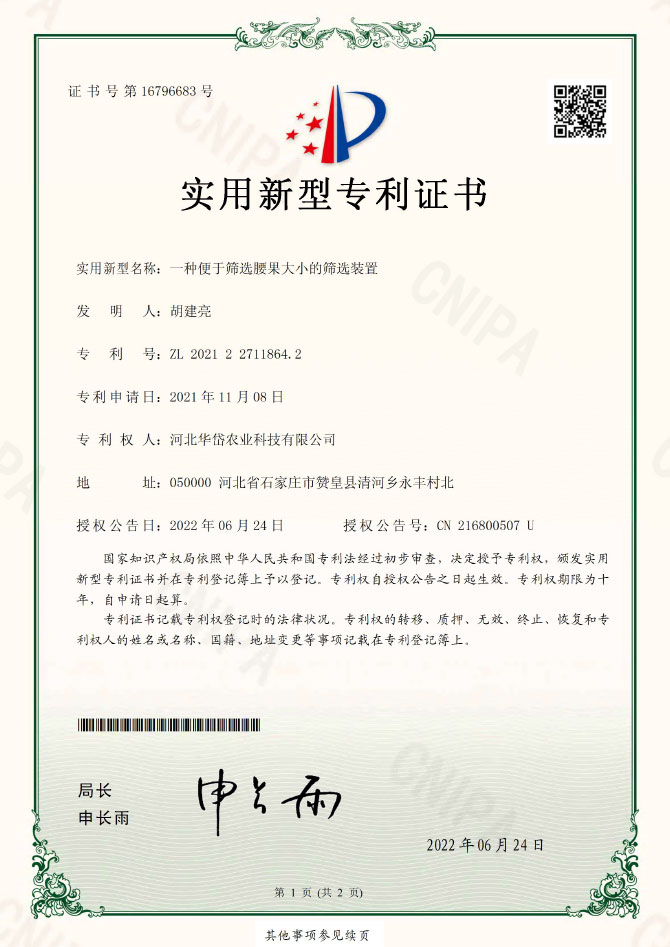 一种便于筛选腰果大小的筛选装置