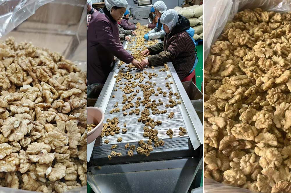 Yunnan Walnut Kernels