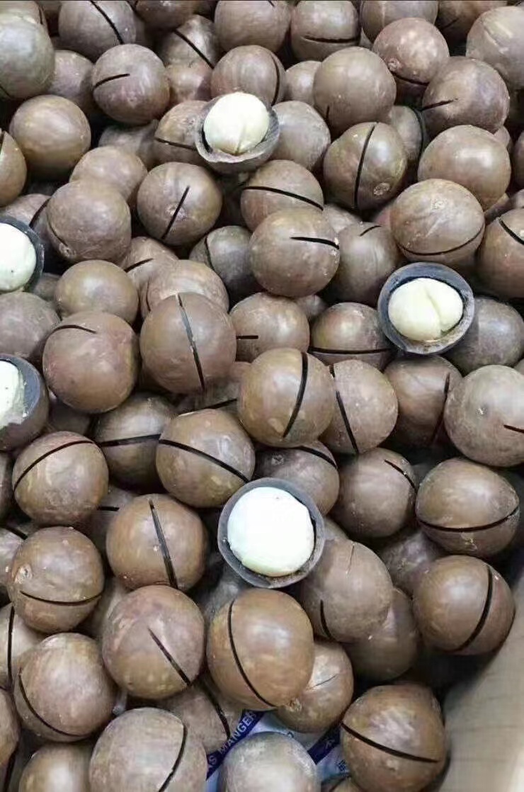 Macadamia Nuts-A